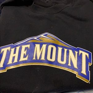 Mount St marys university sweatshirt L champion